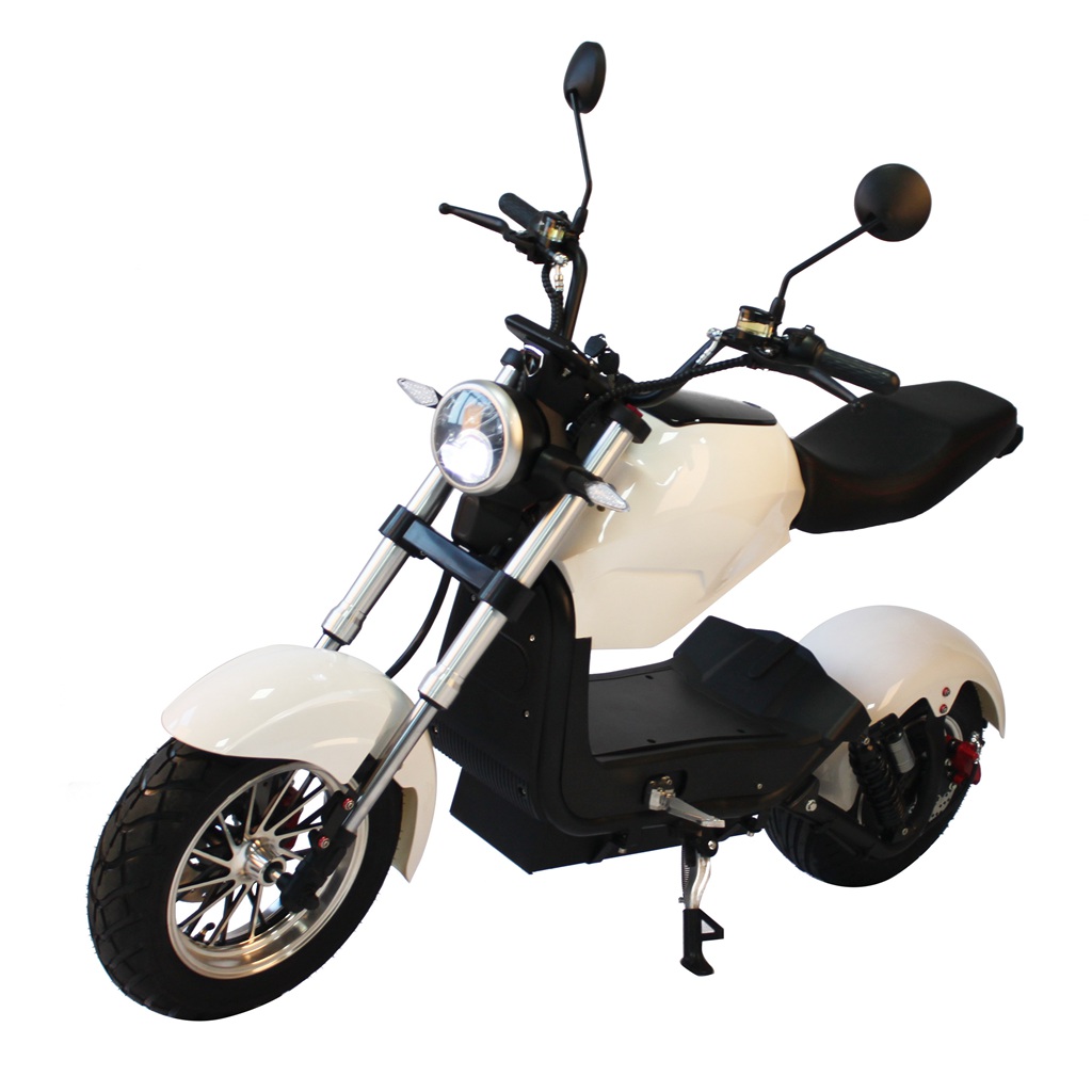 Electric motorcycle (1)