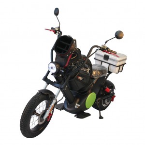 High Quality for Electric Scooter With Seat - city coco scooter Rooder golf electric r804-m6g for sale – Rooder