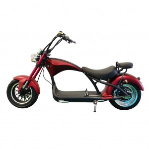 2022 Citycoco Scooter –  citycoco 3000w Rooder super m1 28a with double seat – Rooder