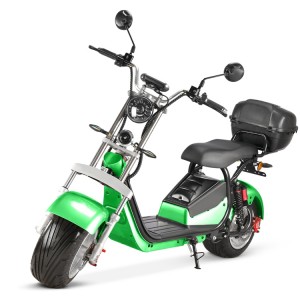 Cheap PriceList for Rooder Runner - citycoco bike Rooder r804-i10 1500w 2000w 20ah 40ah EEC COC road legal for sale – Rooder