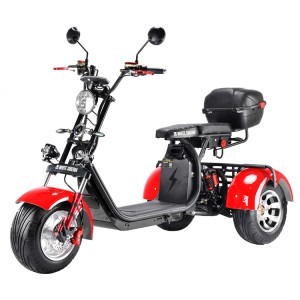 Hot Selling for One Wheel Scooter - citycoco electric scooter Rooder 3 wheel white siberia Russian warehouse – Rooder