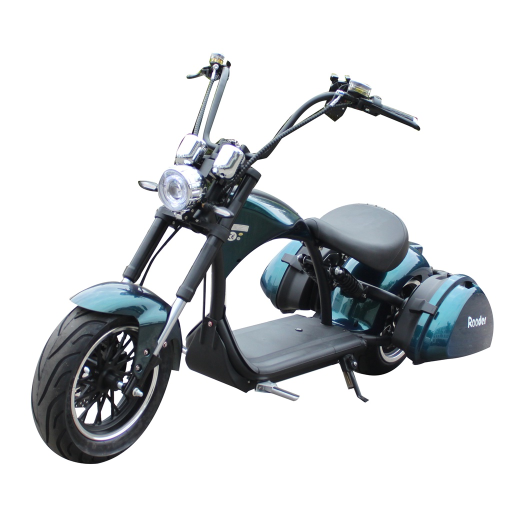 citycoco scooter (1)