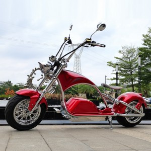2022 wholesale price Bike Helmet - mangosteen sara m1ps Rooder citycoco chopper elektro roller echopper 72v 4000w – Rooder