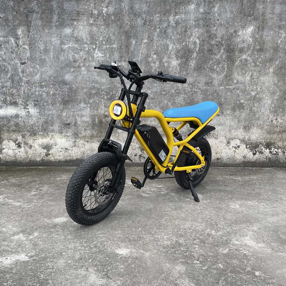 mini ebike Rooder cb02 350w 10a for teenagers wholesale price