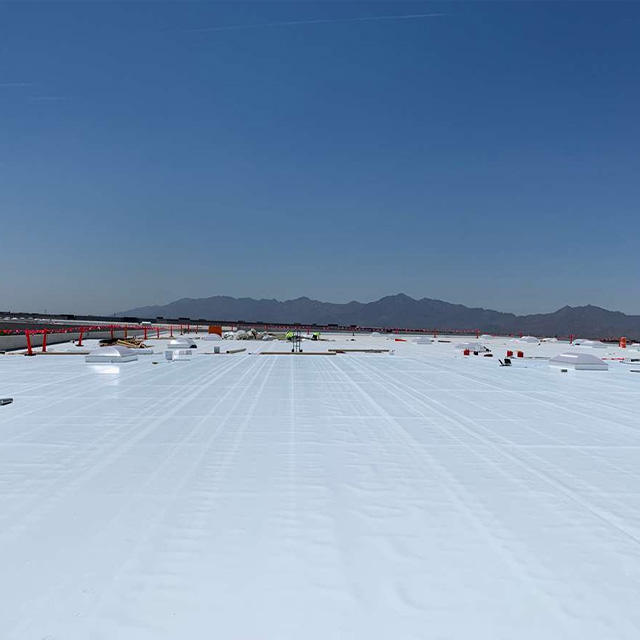 Single Ply Roofing Tpo Waterproof Membrane Roll For Roof