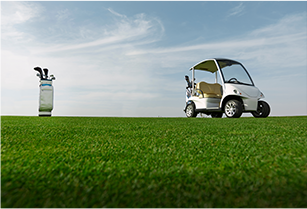 Golf Cart o Electric Vehicle