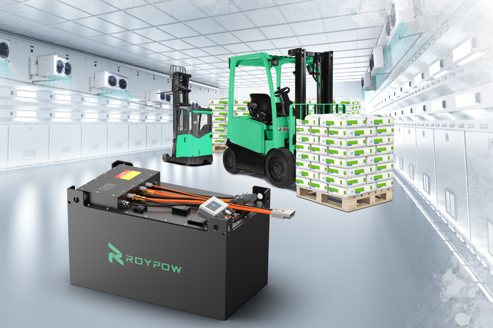 Power through the Freeze: ROYPOW IP67 Lithium Forklift Battery Solutions, Empower Cold Storage Applications