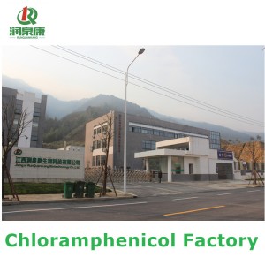 Chinese Chloramphenicol Manufacturer / Factory