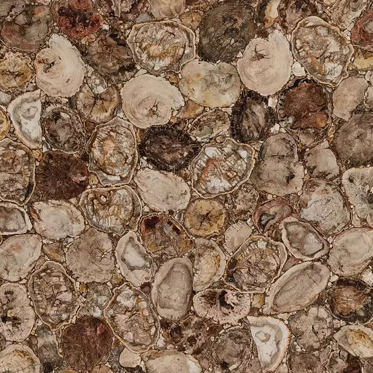 Кругла текстура дорогоцінного каменю агат плита коричневого скам'янілого дерева стільниця