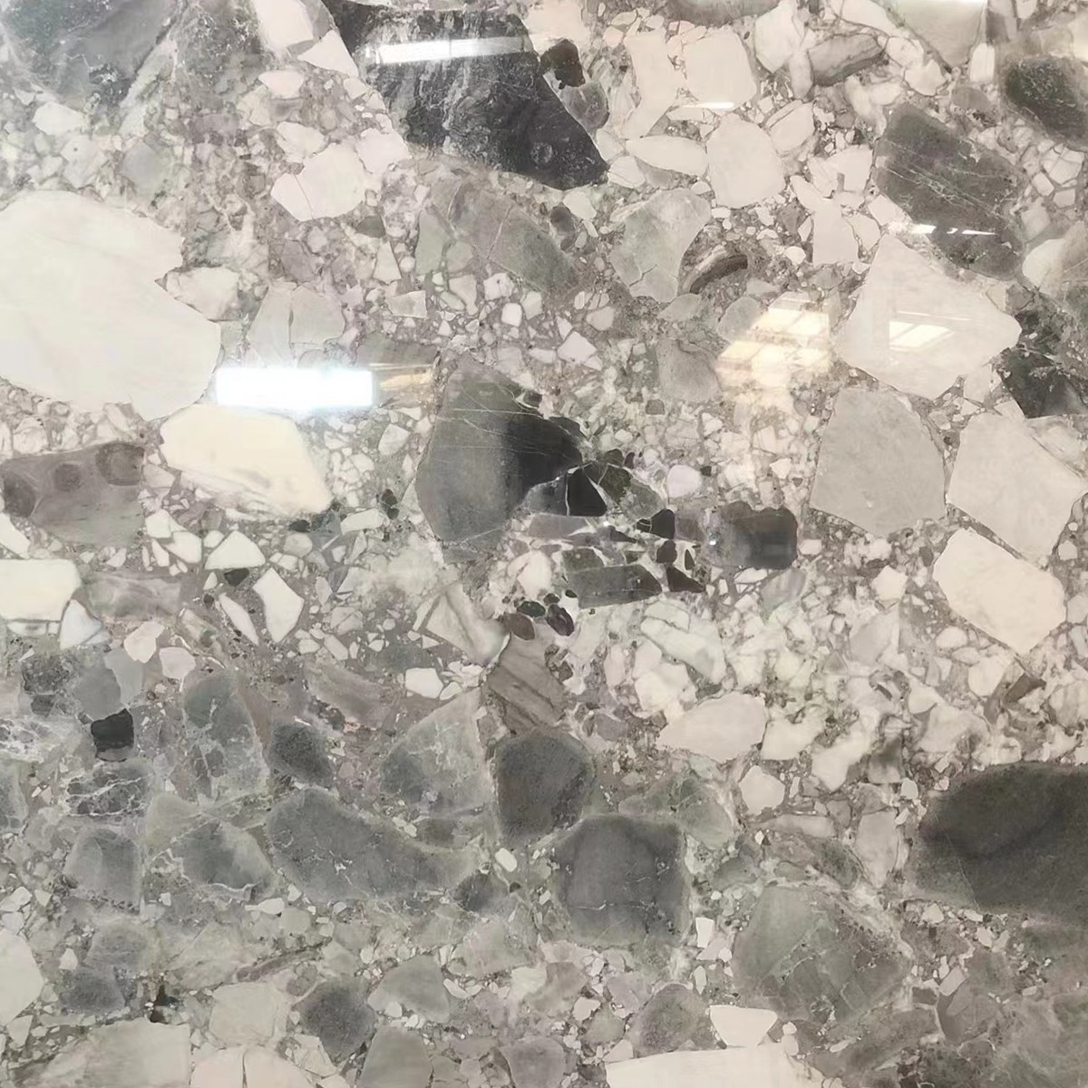 床タイル用の天然テラゾー石パンドラホワイトグレーコピコ大理石