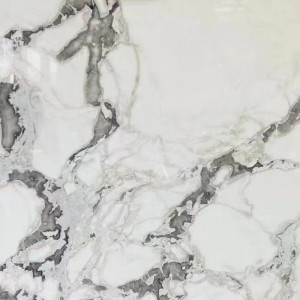 2021 China New Design White Marble Kitchen - Italy dolomite calacatta da vinci white marble for vanity sink tops – Rising Source