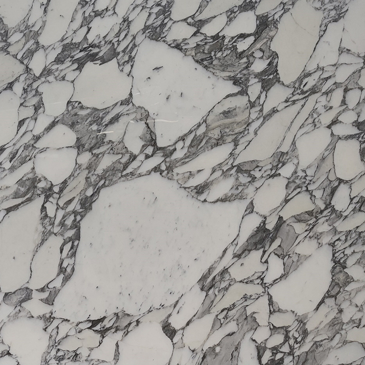 イタリアの天然石のスラブ、灰色の静脈のある白いアラベスカート大理石