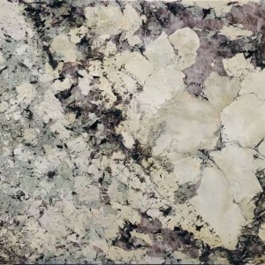 2021 Good Quality Luxury Stone – Luxury stone swiss alps alpinus white granite for dark cabinets – Rising Source
