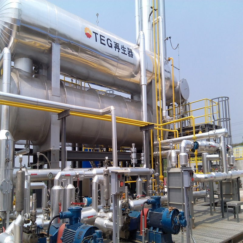 The TEG dehydration unit for removing water from natural gas or biogas