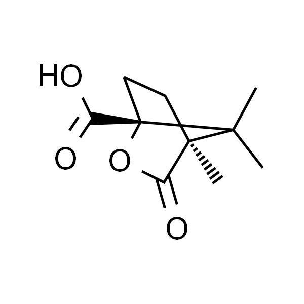 (1R)-(+)-Camphanic Acid CAS 67111-66-4 Purity ≥98.0% (GC) High Purity