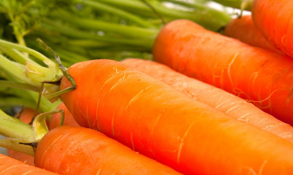 Introducing Our Premium Carrot