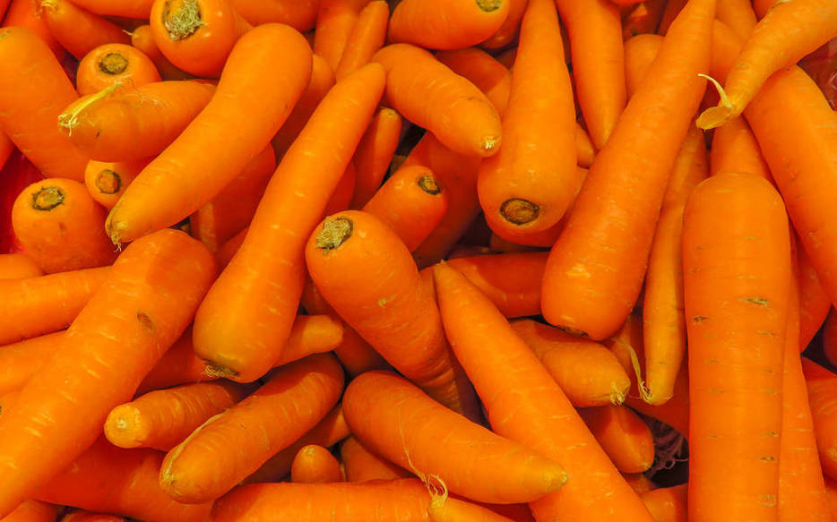 Dehydrated carrot: a shining pearl in the foreign trade market, leading the new trend of healthy food
