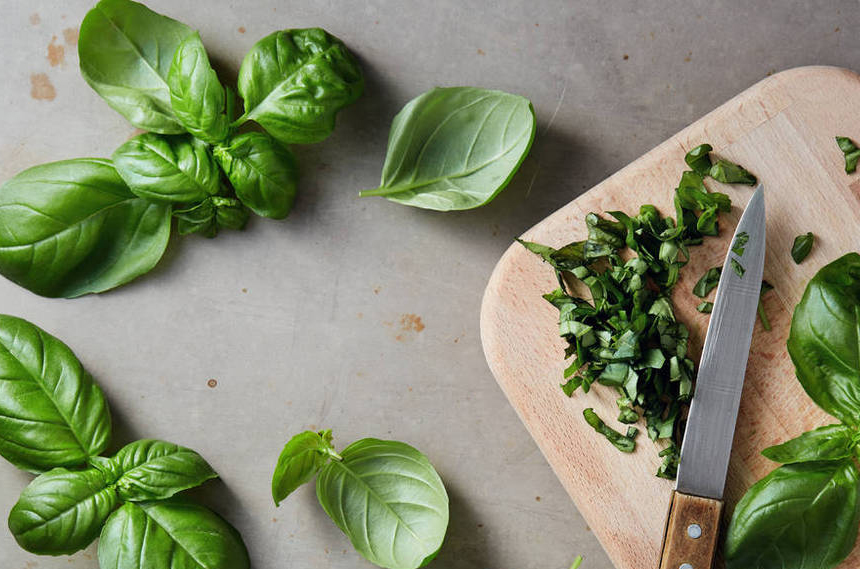 Frozen Basil: The Science and Wisdom Behind the Taste
