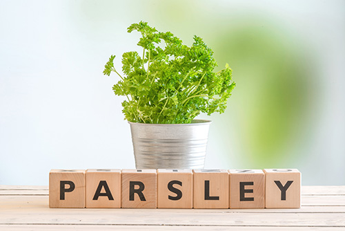 Frozen Parsley