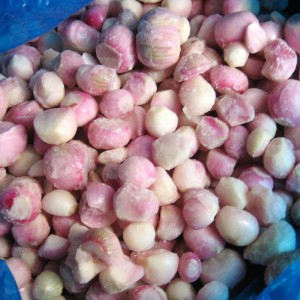100% pure Frozen Shallots diced IQF Chinese shallots cubes
