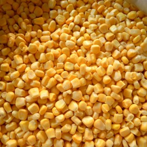 High quality 100% natural Frozen sweet corn kernels with discount