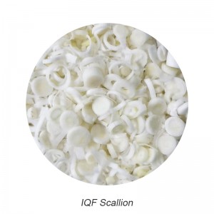 IQF diced scallion white part Frozen scallion Chinese onion