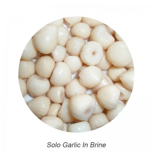 Factory source China Best Sale Salted Dry Garlic Solo Garlic with High Quality