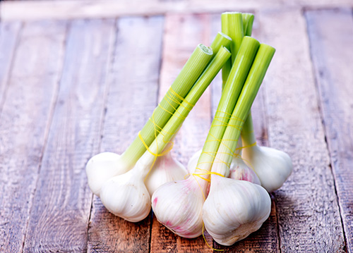 Solo-Garlic In Brine