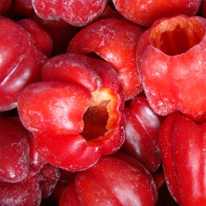 China exports wholesale IQF red bell pepper