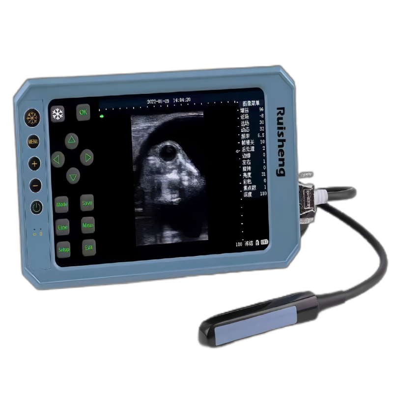 የእርሻ አጠቃቀም Touch Screen T6 Cattle Ultrasound Scanner ተለይቶ የቀረበ ምስል