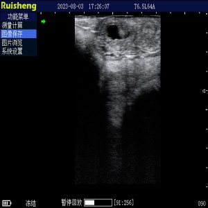 Scanner C8 Cattle Ultrasound oo buuxa oo aan biyuhu karin