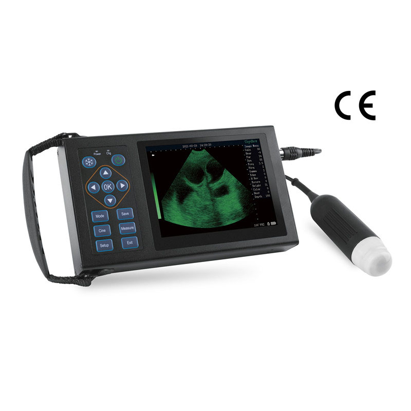 OEM/ODM Supplier Portable Ultrasound Doppler - M10  Mechanical Ultrasonic Diagnostic Instrument  – RuishengChaoying