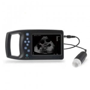 E hoʻohana i ka mahiʻai M6 Pre-heat Veterinary Ultrasound Scanners no ka puaʻa