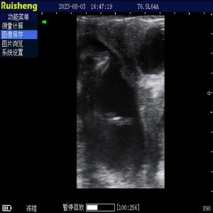 Escáner de ultrasonido para ganado C8 completamente impermeable