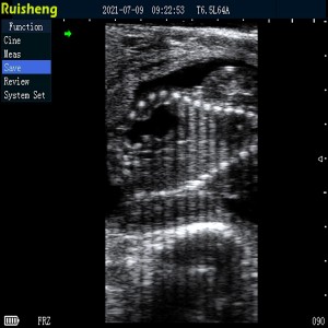 Scanner à ultrasons pour bovins C8 entièrement étanche