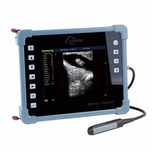 ሙሉ ውሃ የማይገባ C8 Cattle Ultrasound Scanner