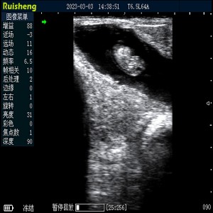 Plne vodotesný ultrazvukový skener dobytka C8