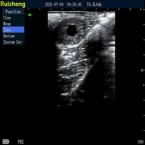 Yakazara-isina mvura C8 Mombe Ultrasound Scanner