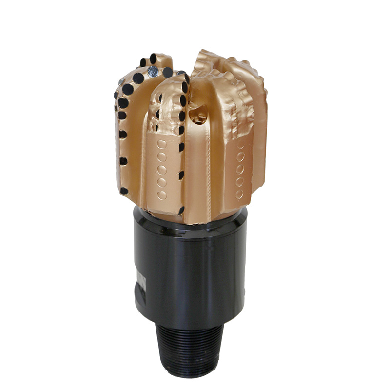 Leading Manufacturer for Smith Pdc Drill Bits - Steel Body PDC Bit S1665F-8-12 – Ruishi