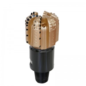 Factory wholesale Pdc Oil Well Drilling Bits - Steel Body PDC Bit S1665FG-8-12 – Ruishi