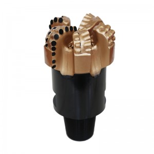 Short Lead Time for Pdc-Roller Compound Bit - Steel Body PDC Bit S1655FGA5 – Ruishi