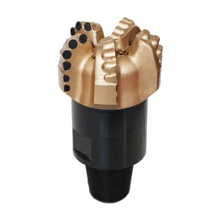 Massive Selection for Baker Hughes Pdc Drill Bits - Steel Body PDC Bit S1952-8-12 – Ruishi