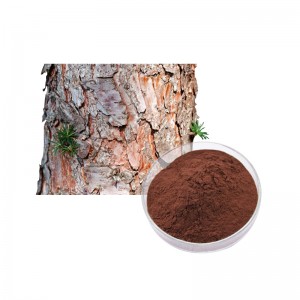 Nice Quality Reflection Hot Sale High Purity Herbal Extract 95% Proanthocyanidins Pine Bark Extract