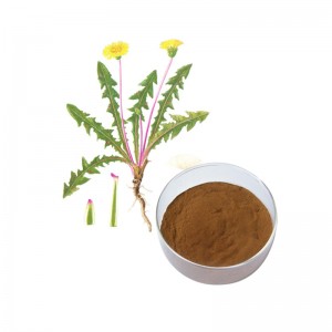 China wholesale Factory Supply Herbal Dandelion Extract