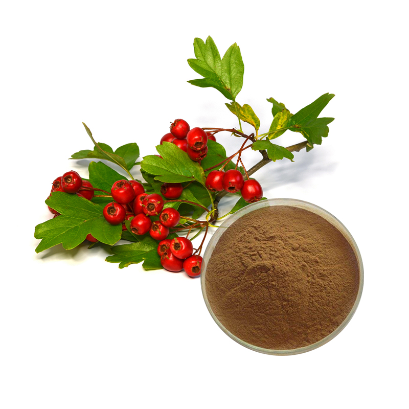 OEM Supply Dgl Licorice Root Extract Benefits - Hawthorn Leaf Extract  – Ruiwo