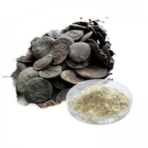 Fekitari inopihwa Natural Griffonia Seed Extract 5-Hydroxytryptophan 5 Htp Powder