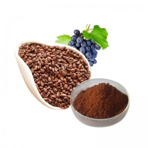 100% Original Vitis Vinifera Polyphenols 95% Proanthocyanidin OPC UV Grape Seed Extract