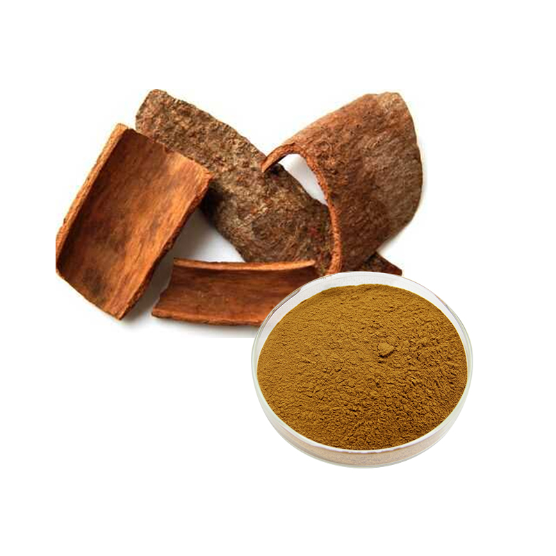 High reputation Green Tea Leaf Extract - Cinnamon Bark Extract  – Ruiwo