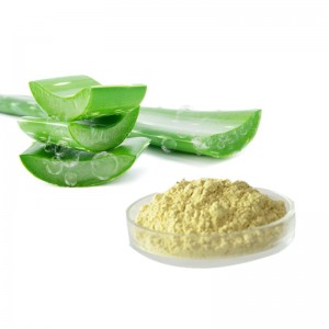Nature Aloe Vera Leaf Extract with Aloin
