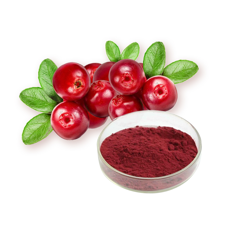 OEM/ODM Supplier Citrus Aurantium Fructus Extract - Cranberry extract – Ruiwo